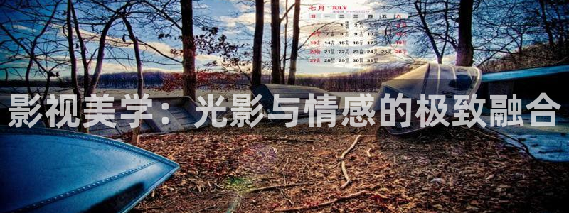 桔子在线免费视频：影视美学：光影与情感的极致融合