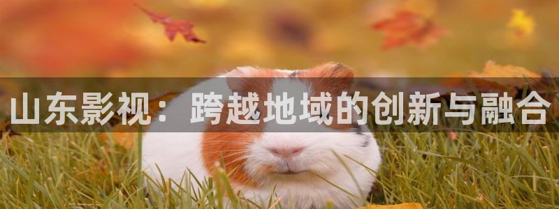 桔子视频在线看：山东影视：跨越地域的创新与融合