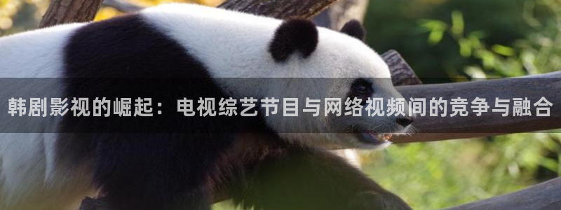 桔子视频电视剧在线观看：韩剧影视的崛起：电视综艺节目与网络视频间的竞争与融合