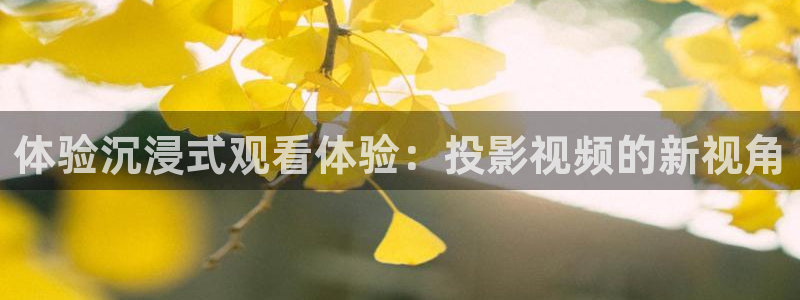 橘子桔子：体验沉浸式观看体验：投影视频的新视角