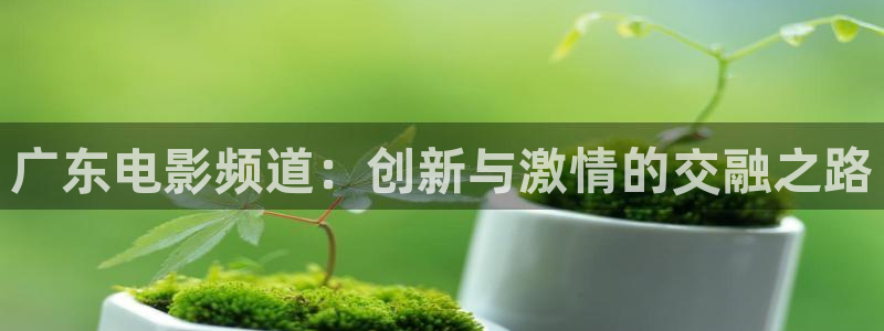 桔子tv视频：广东电影频道：创新与激情的交融之路