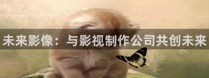 桔子视频免费版：未来影像：与影视制作公司共创未来