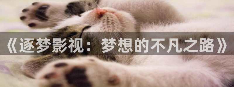 桔子图片：《逐梦影视：梦想的不凡之路》