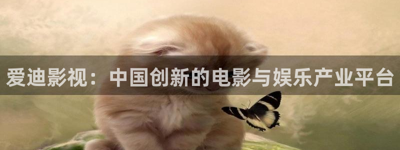 桔子的天空 电影：爱迪影视：中国创新的电影与娱乐产业平台