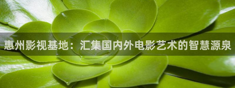 桔子tv版：惠州影视基地：汇集国内外电影艺术的智慧源泉
