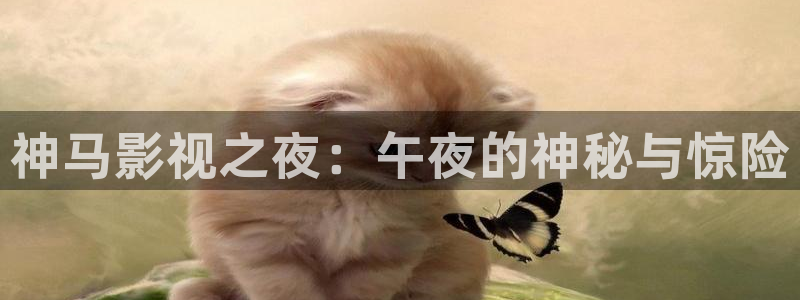 桔子美女视频：神马影视之夜：午夜的神秘与惊险