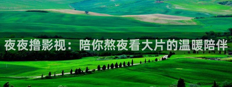 桔子培训：夜夜撸影视：陪你熬夜看大片的温暖陪伴